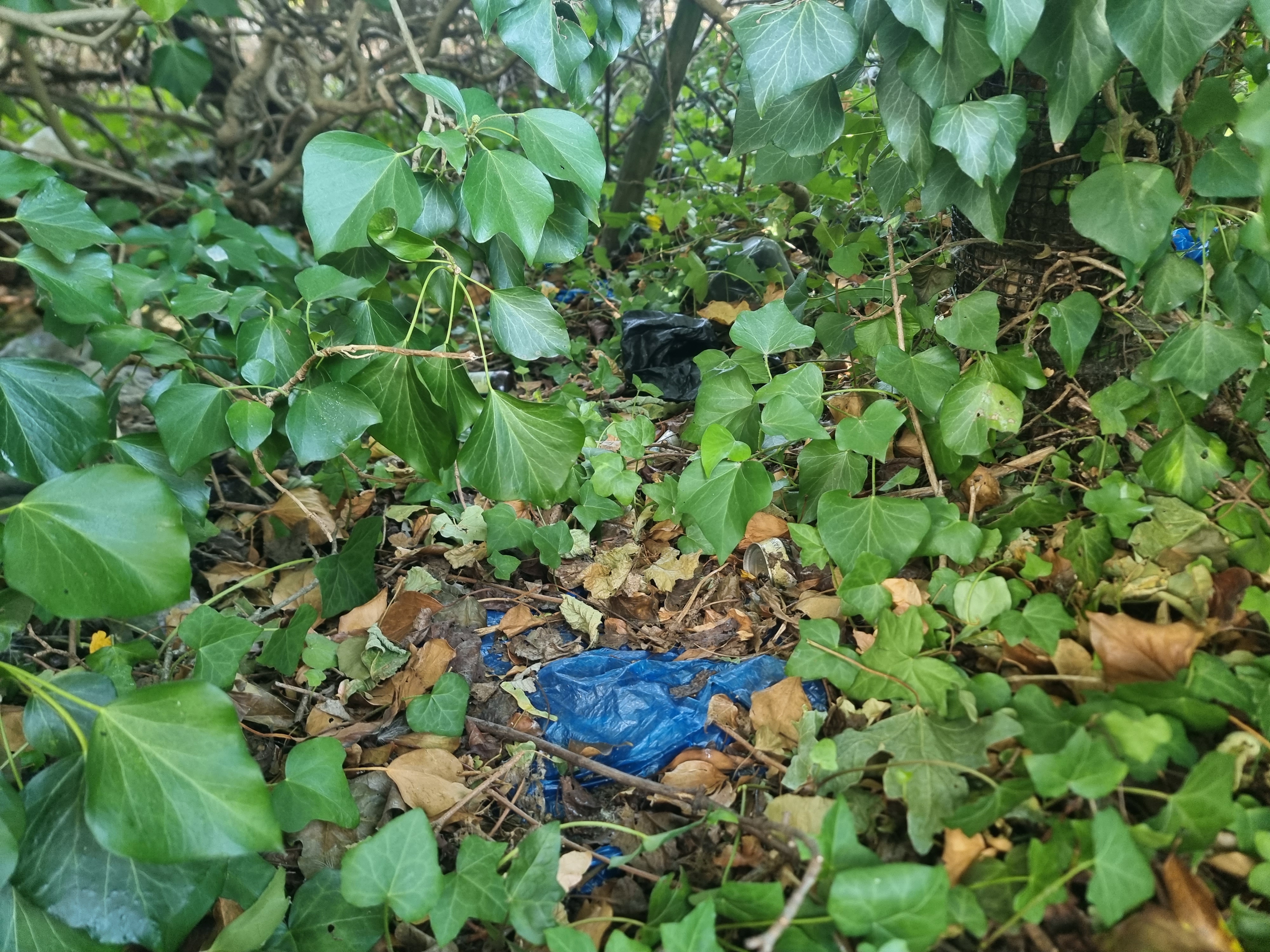 Some not very nice people have thrown litter/trash in the hedges, not caring about the wildlife or the people in the neighbourhood. As you go on the Moor Lane, on the right.

If anyone could help clean up the place/prompt the council to clean it up, the reward is yours.

Please post proof pictures and I will mark it as complete. - Image 1